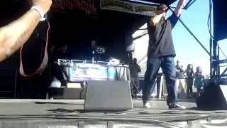 Lil rob live