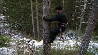 Lumberjack Tree Climbing | Dual Survival