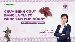 Chữa bệnh gout bằng lá tía tô, dùng sao cho đúng? | Video AloBacsi