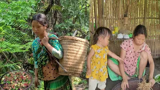 Pregnant mothers go to pick herbal medicine - Prepare to keep while drinking.