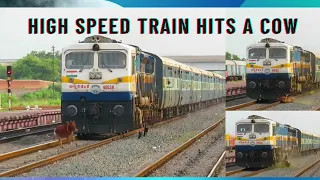 Train hits cow !live animals that hit Indian railways train accident..! Patliputra LTT super fast.😔