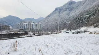 정선군 남면 문곡리 물이 보이는곳 관리지역/ 전 150평 면소재지 농막짓고 주말농장 낭만캠핑 청정지역 맑은공기 몸 회복원하시는분들께 추천  033-592-1147