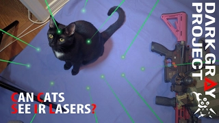 Can Cats See IR Lasers? - Proven with Night Vision! - Dark Gray Project