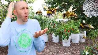 BEES are DESTROYING my Garden!