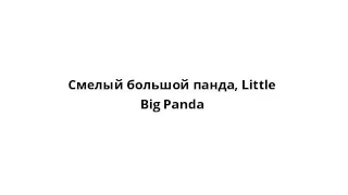 Смелый большой панда, Little Big Panda