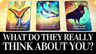 PICK A CARD 🔮 🤔 WHAT DO THEY REALLY THINK ABOUT ME? 🤔 🔮 Platonic/Romantic/Family/Work Tarot Reading