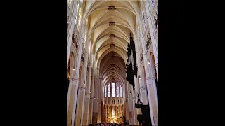 Cathédrale de Chartres, le programme des vitraux 1