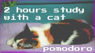 2-Hours Study with a REAL Cat / Pomodoro 50-10 / Relaxing Lo-Fi / Day 3