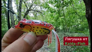 Лягушка Kaida-Fish на практике. И пару слов о плохих катушках.