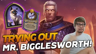 NEW Patch, NEW Hero! Trying Out Mr. Bigglesworth! | Hearthstone Battlegrounds | Savjz