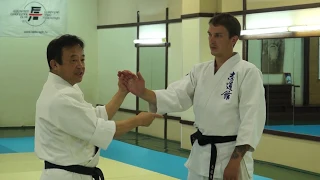 ATEMI WAZA / АТЭМИ ВАЗА. TOMIKI AIKIDO / ТОМИКИ АЙКИДО