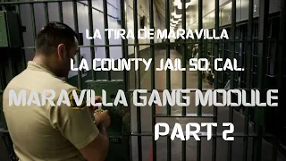PART 2 LA COUNTY MARAVILLA GANG MODULE