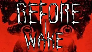 THE BRIGHT AND DARK WORLD OF BEFORE I WAKE