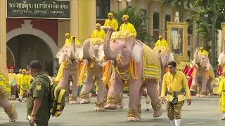 Elephants pay homage to Thailand's new king