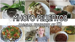 ✔️МЫ ВАКЦИНИРОВАЛИСЬ👩‍🔬МНОГО ВКУСНЫХ БЛЮД🍱МАЛОСОЛЬНЫЕ ОГУРЦЫ🥒супер рецепт💥