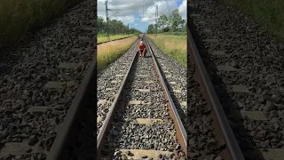 Workers Help Lost Ducks Cross Railroad Tracks || ViralHog