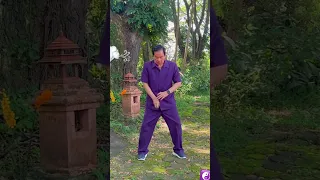 Reverse breathing technique by Taoist Master Mantak Chia☯️