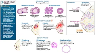 Benign Breast Diseases