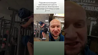 ✅ 500 кг на икры! Подъем на носки ног для роста икроножных мышц 💪