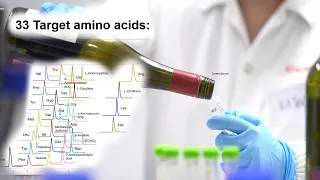 Direct analysis of 33 amino acids in beverages by LC-MS/MS