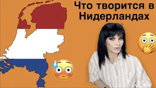 ЧТО ТВОРИТСЯ В НИДЕРЛАНДАХ