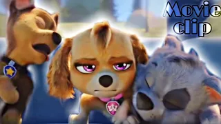 Paw Patrol The Movie ~ Movie Clip