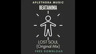 Lost Soul - Beatanima (Original Mix)