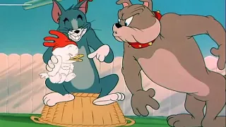 Tom and Jerry cartoon episode 60 - Slicked up Pup 1951 - Funny animals cartoons for kids