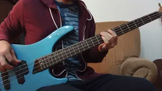 In My Tree - Pearl Jam (Raw Bass Cover)