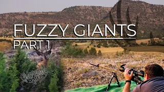 Fuzzy Giants - 2021 Oregon Governor Deer Hunt - Part 1