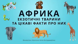 Африка. Екзотичні тварини та цікаві факти про них.