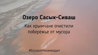 Как крымчане собирали мусор на берегу озера Сасык-Сиваш