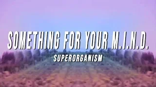 Superorganism - Something For Your M.I.N.D. (Lyrics)