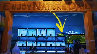 All the NANO FISH at Aquarium Co-Op [Tour]