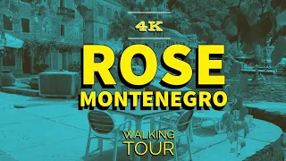 4K- Rose Montenegro Bay of Kotor,  Luštica,  Walking Tour 2023