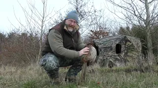 Last pheasant of 2022 season - Traditional bowhunting - Tales From the Willows