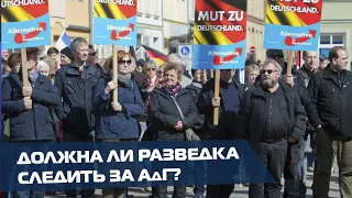 Нужна ли слежка за АдГ? 13 земель отчитались об экстремизме партии