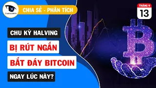 Chu Kỳ Halving Bị Rút Ngắn - Bitcoin Đang Tăng Giá Trở Lại?