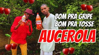 BOM PRA GRIPE BOM PRA TOSSE AUCEROLA - Zé Paulo e Zhaw (CLIPE OFICIAL) (DJ Gui no Beat)