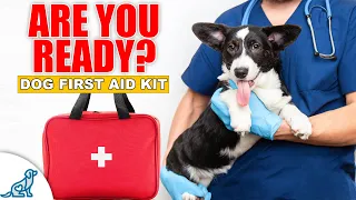 Vet Explains What Is & Isn't An Emergency For Your Dog