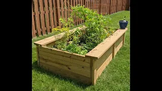 Everyone can Garden! PLANTING your vegetable garden (part 2 of 5)