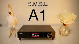 SMSL VMV A1 as a loudspeaker amp💪