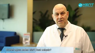 Böbrek Ağrısı Neden Olur? Nasıl anlaşılır?