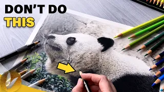 3 Biggest Mistakes Beginner Colored Pencil Artists Make