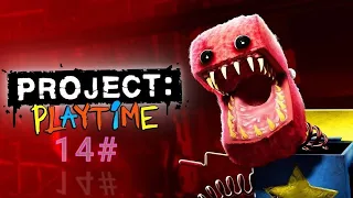 Project playtime 14#