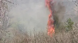 Wildfire danger high in southern Utah this weekend