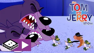 Tom i Jerry | Trzygłowy pies | Cartoonito