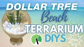 🐚 10 Stunning Dollar Tree Beach Terrariums! NEW Coastal DIYS