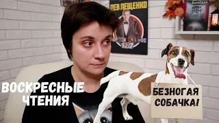 ВОСКРЕСНЫЕ ЧТЕНИЯ. Я НАПИСАЛА БЕЗНОГУЮ СОБАЧКУ?