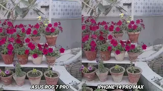 Asus ROG phone 7 pro vs iphone 14 pro max Camera test